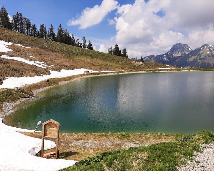 Berggasthaus Walleralm